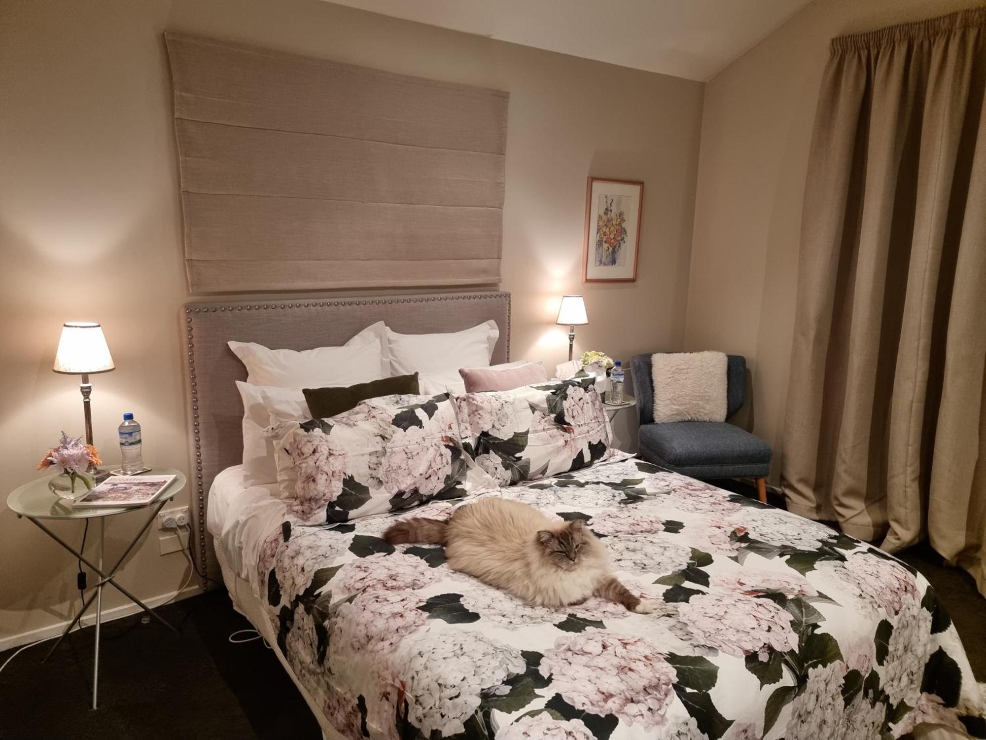 Haven Sanctuary Suite With Private Entrance Queenstown Luaran gambar